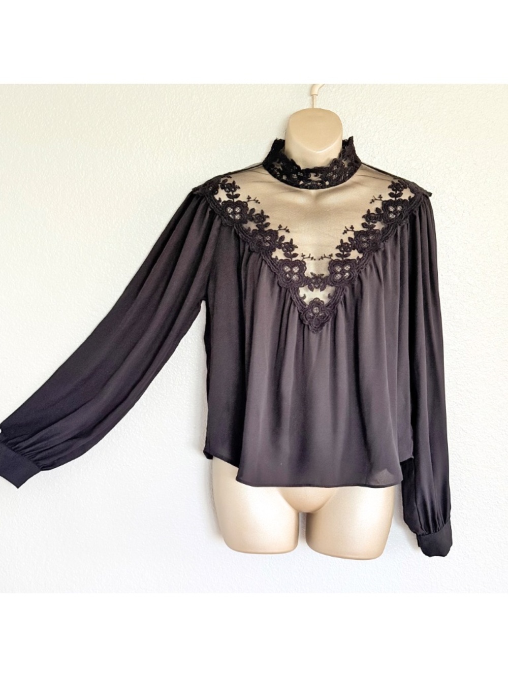 Victorian Witchy Goth Sheer Mesh Lace Mock Neck Balloon Sleeve Noir Top Sz M